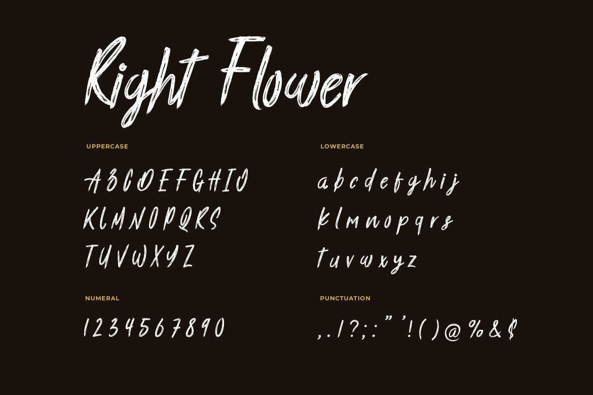 英文手写笔刷风格字体 Right Flower Brush Handwritten Font 设计素材 第2张