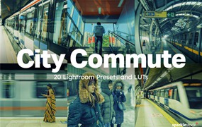 LR预设：20个城市日常通勤旅行氛围专用摄影LR+LUT调色预设