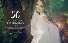 50个专业漏光效果照片叠层背景素材v1 50 Pro Light Leaks Photo Overlays – Vol. 1