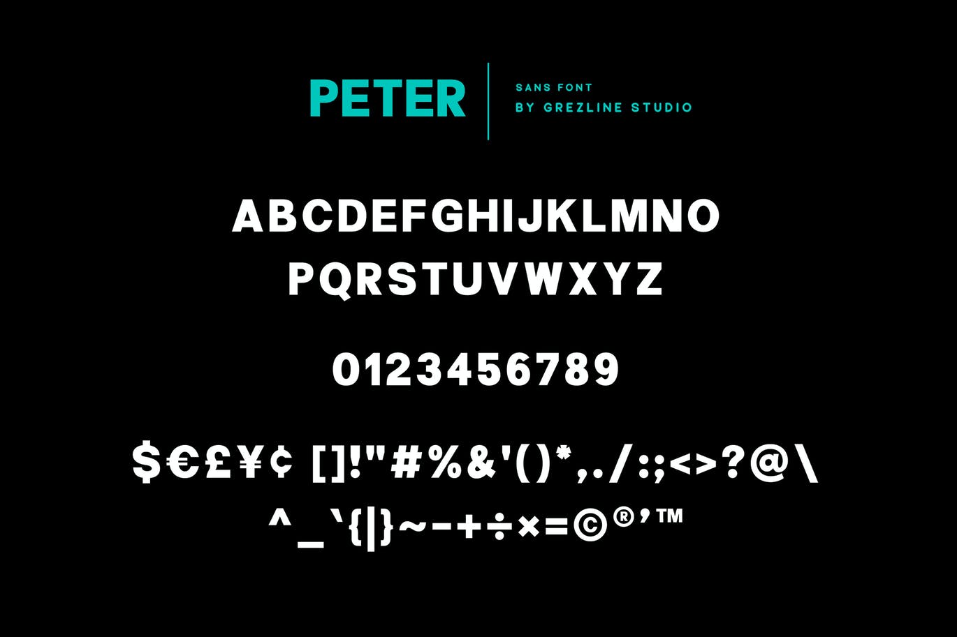 手绘脚本字体二重奏 Peter Quincy – Font Duo 设计素材 第2张