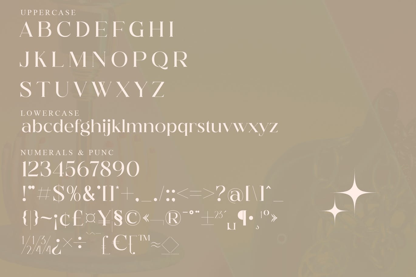 印刷文本衬线字体素材 Hegam Serif Font 设计素材 第2张