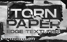 200个做旧破碎褶皱撕裂废弃纸张纸片PNG免抠图PS笔刷设计素材 Torn Paper Edge Textures