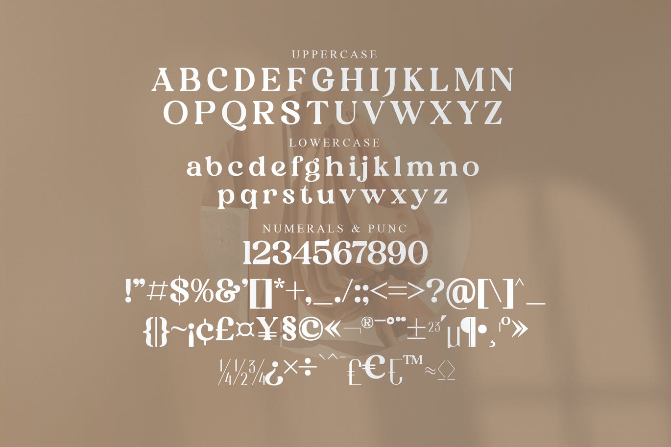 豪华品牌项目衬线字体素材 Heibird Serif Font 设计素材 第8张