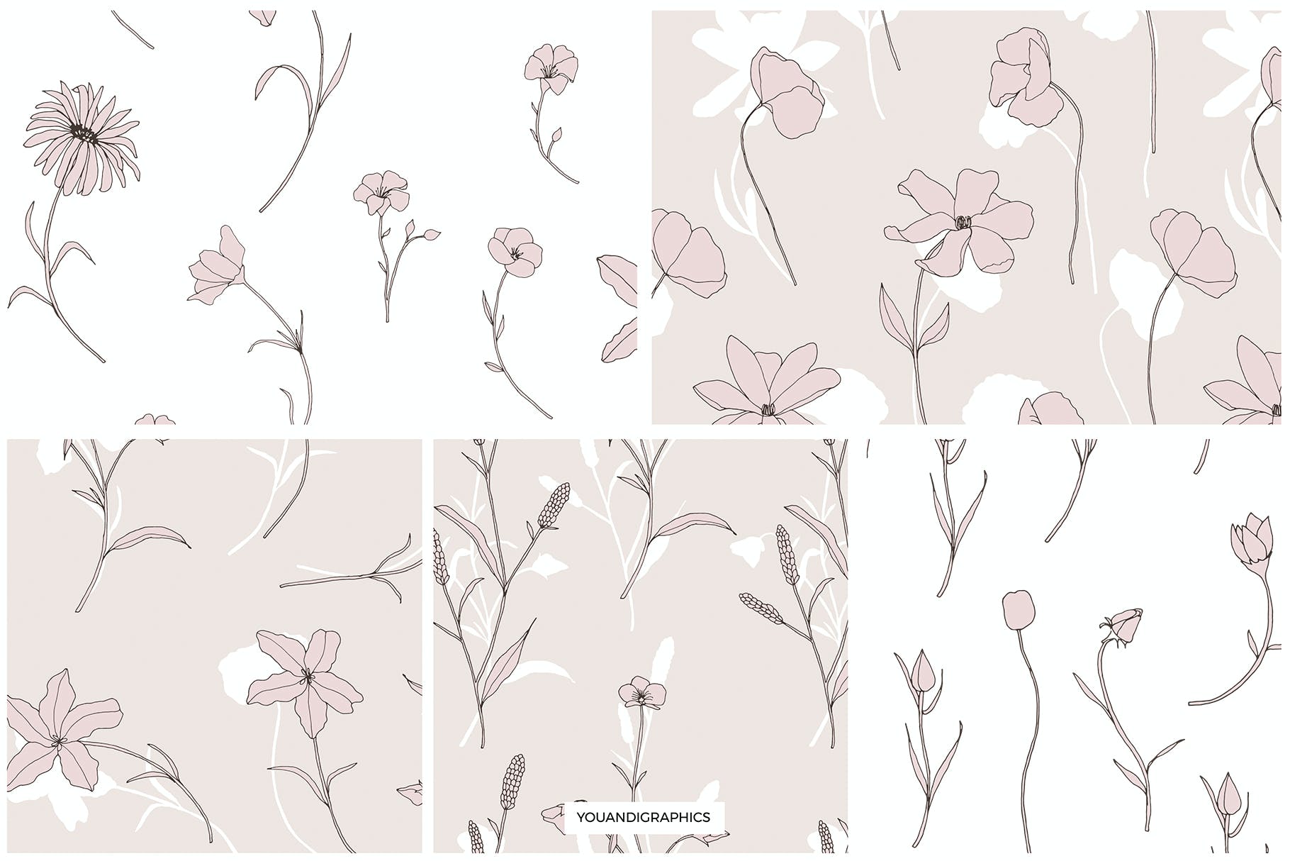精美的花卉图案和元素 Dainty Floral Patterns & Elements 图片素材 第13张