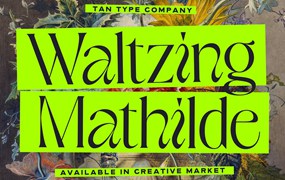 英文字体：优雅俏皮逆反差酸性海报标题徽标设计衬线英文字体 TAN - WALTZING MATHILDE