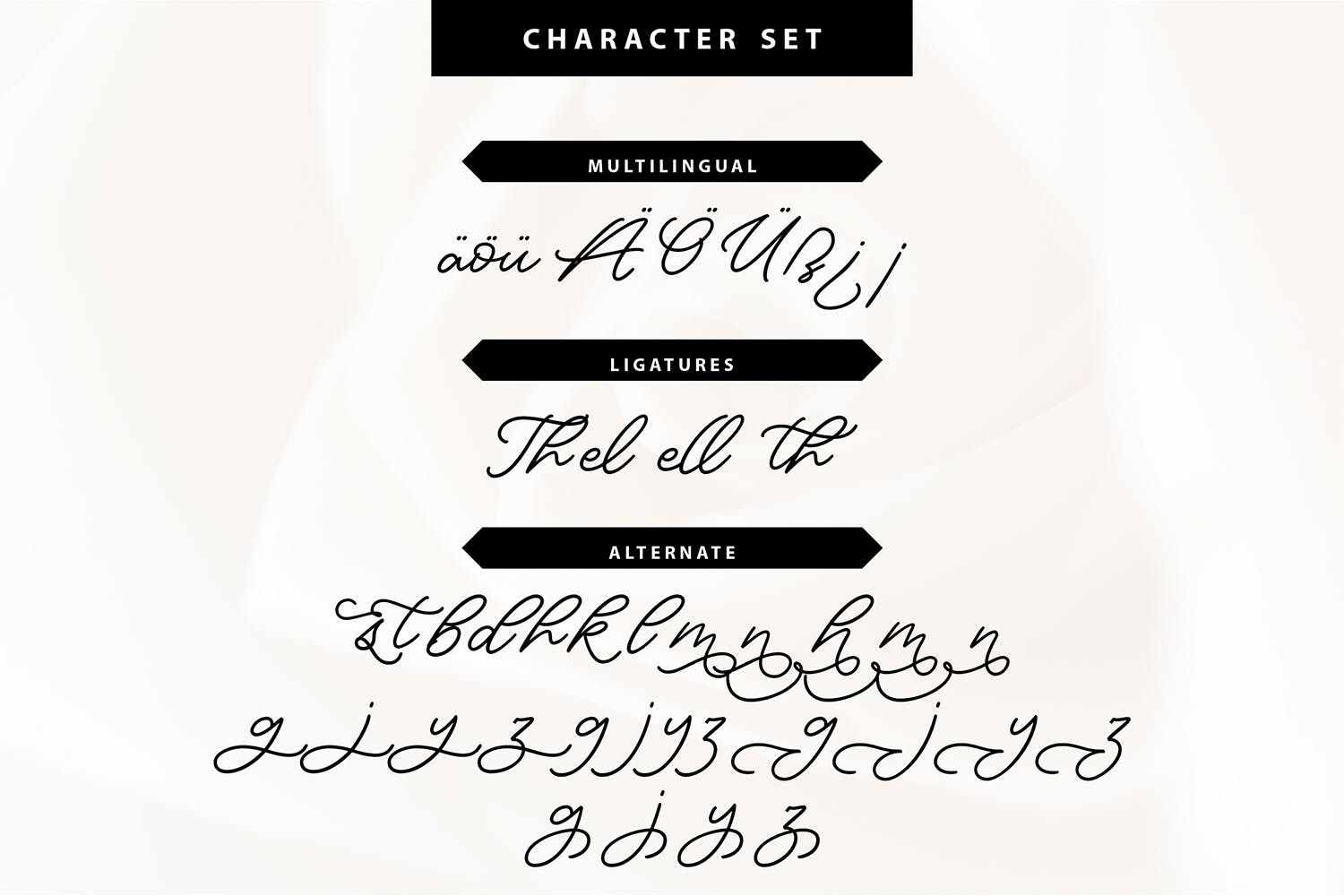 英文书法风格手写脚本字体 Charmelly | Handwritten Script Font 设计素材 第6张