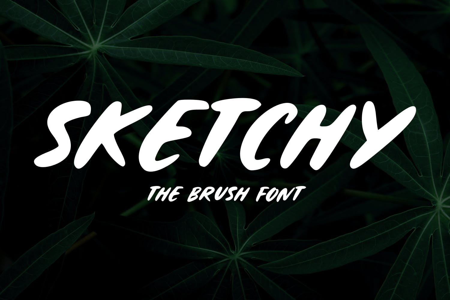 随意手写英文笔刷字体 Sketchy – The Brush Font 设计素材 第1张