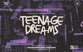 英文字体：4款复古涂鸦90年代街头手写海报标题logo排版字体 TEENAGE DREAMS FONT