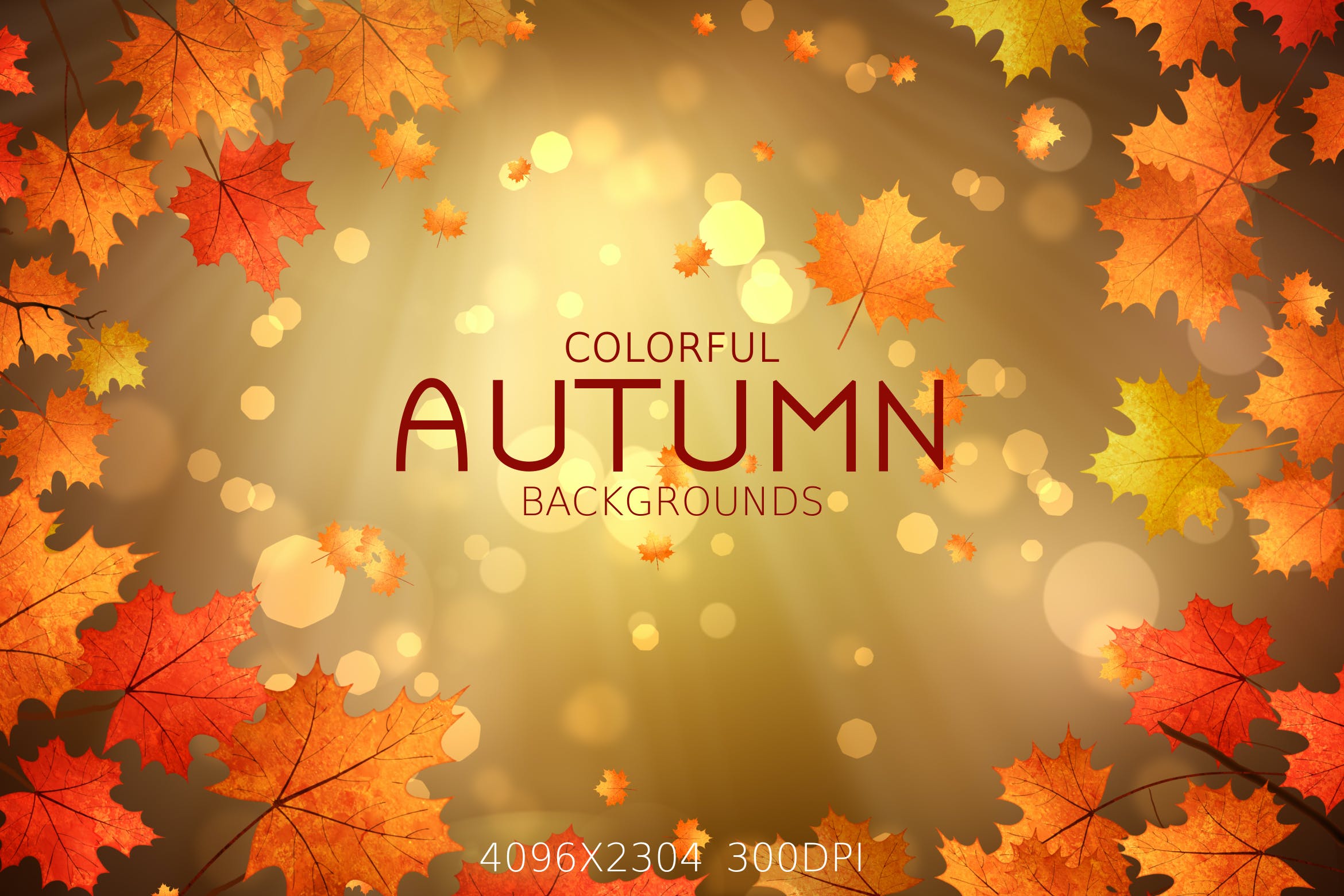 阳光散景秋天枫叶背景 Colorful Autumn Backgrounds 图片素材 第1张