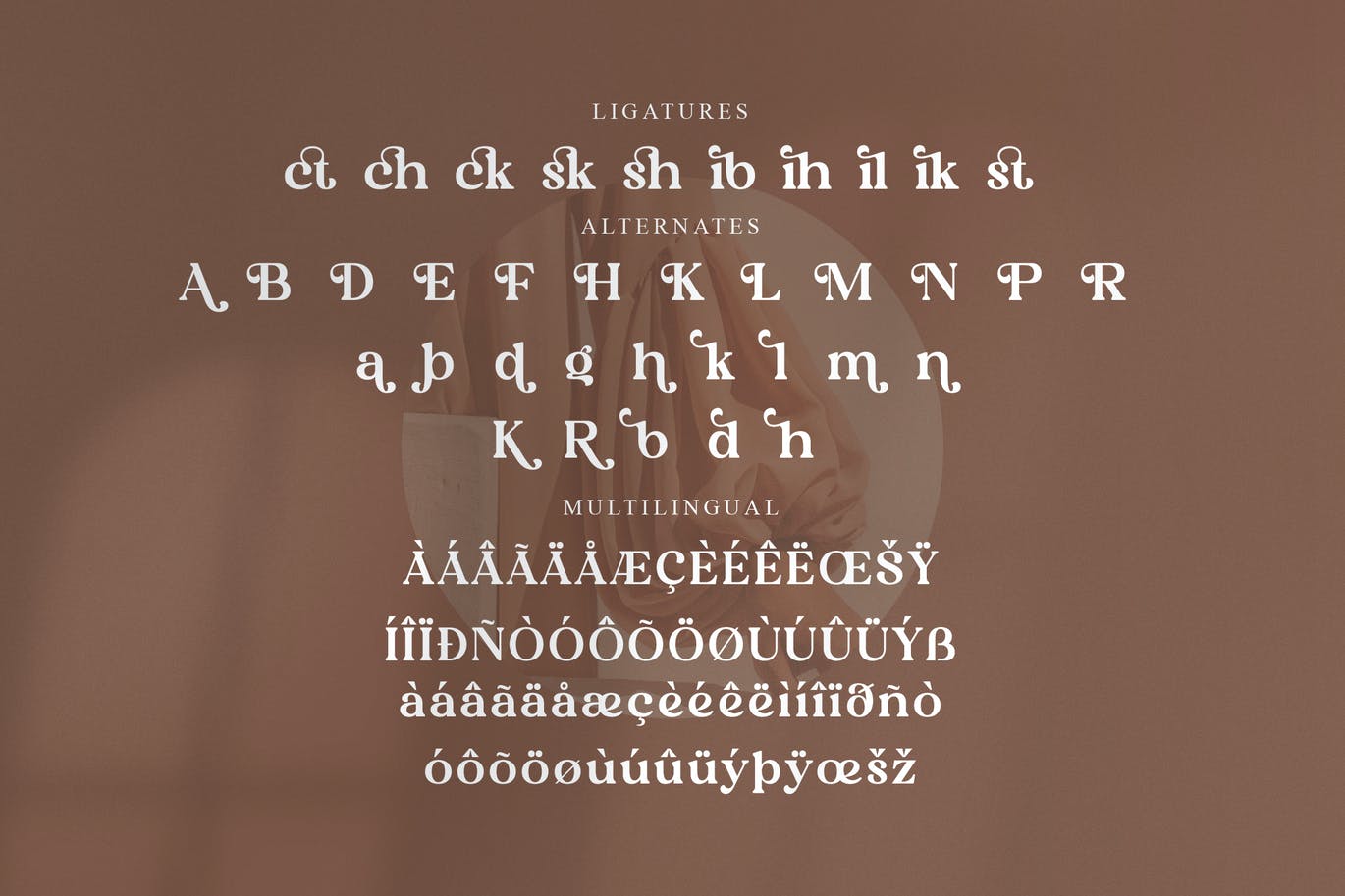 豪华品牌项目衬线字体素材 Heibird Serif Font 设计素材 第11张
