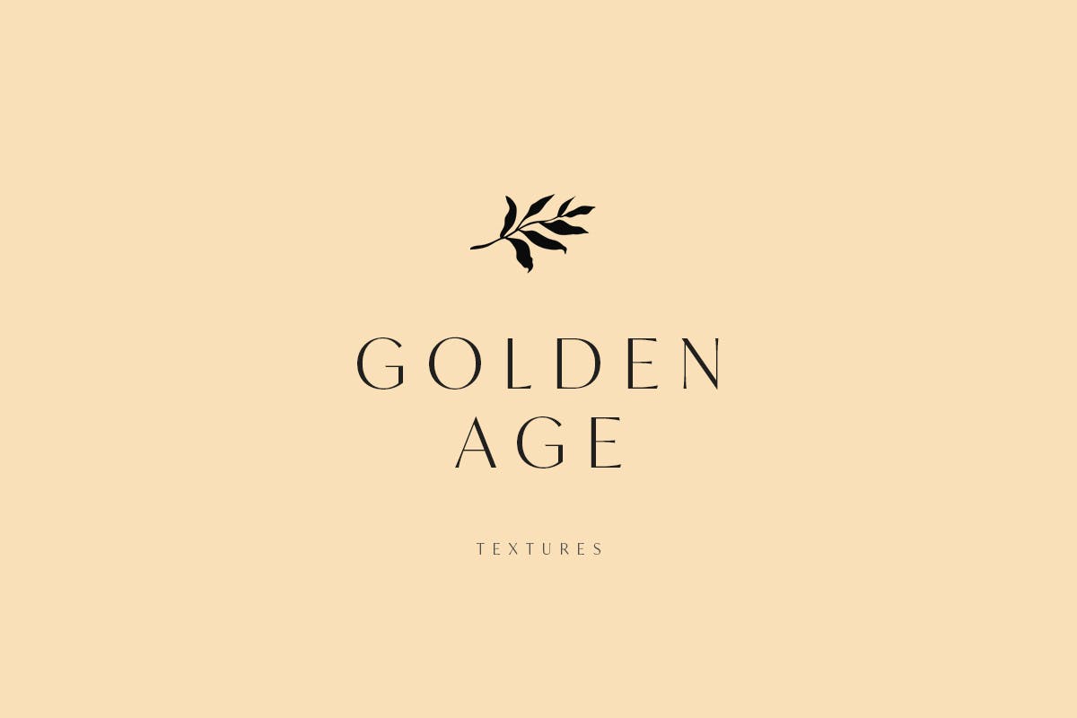 25个黄金时代奢华质感纹理 25 Golden Age Luxury Textures 图片素材 第5张