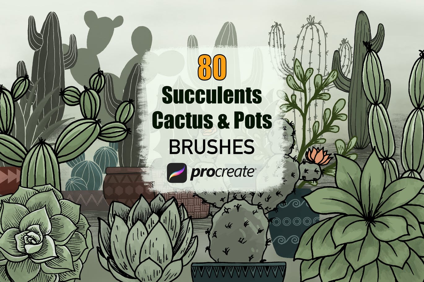 仙人掌多肉植物花盆元素Procreate笔刷素材 Cactus Succulents and Pots – Procreate Brushes 图片素材 第1张