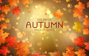 阳光散景秋天枫叶背景 Colorful Autumn Backgrounds