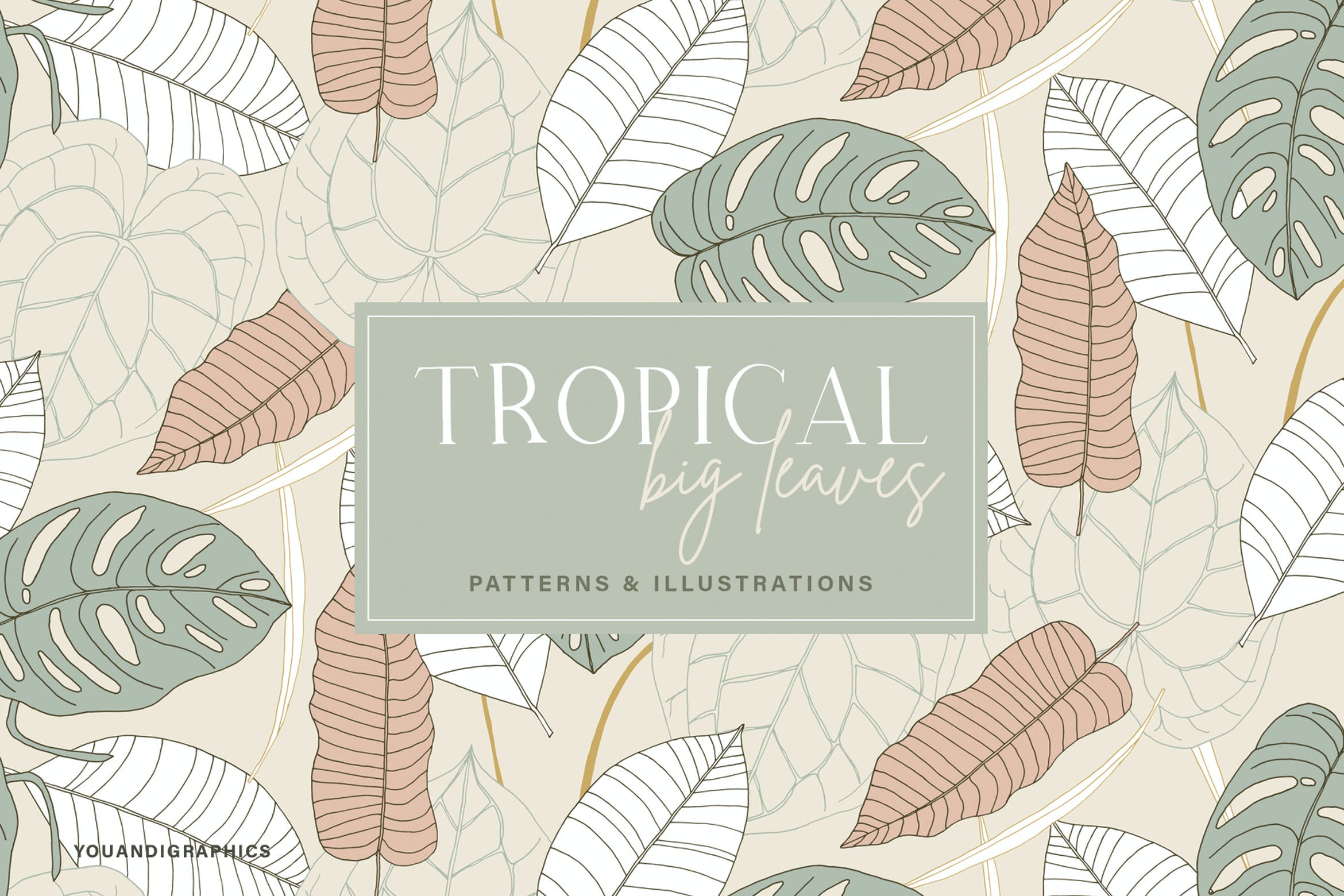 植物叶子热带图案素材 Big Leaves – Tropical Patterns 图片素材 第1张