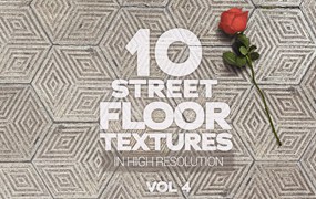 街道地板砖纹理Vol.4 Street Floor Textures x10 Vol.4
