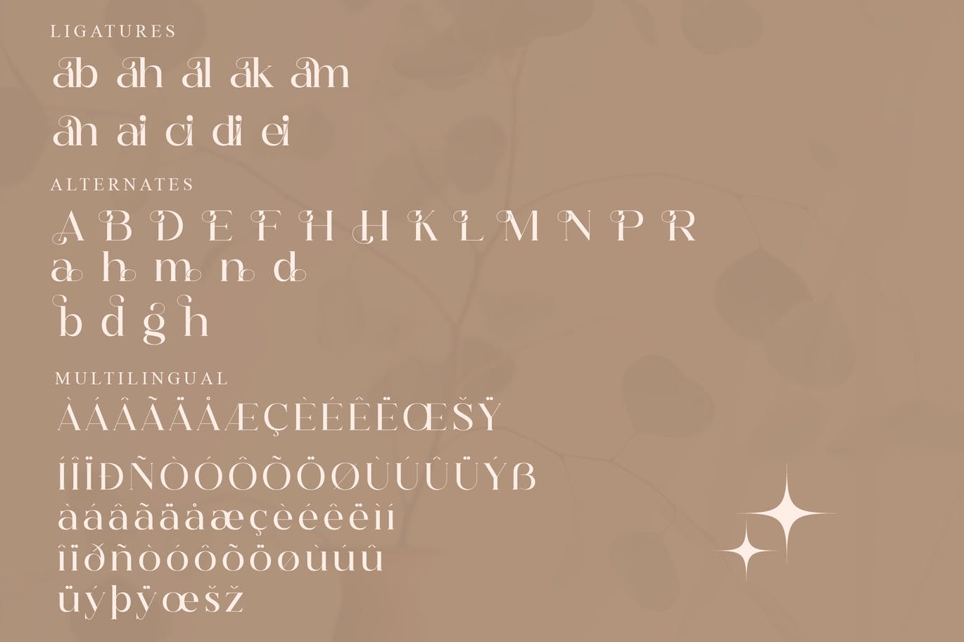 印刷文本衬线字体素材 Hegam Serif Font 设计素材 第15张
