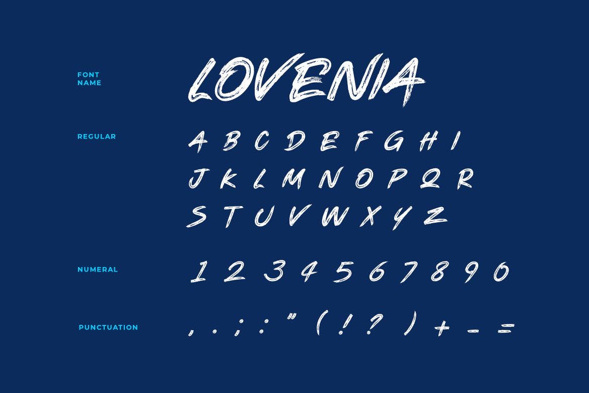时尚品牌相关英文字母笔刷字体 Lovenia Brush Font 设计素材 第3张