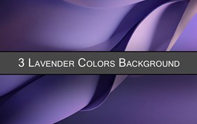 精致的薰衣草颜色背景壁纸 Delicate Lavender Colors Backgrounds