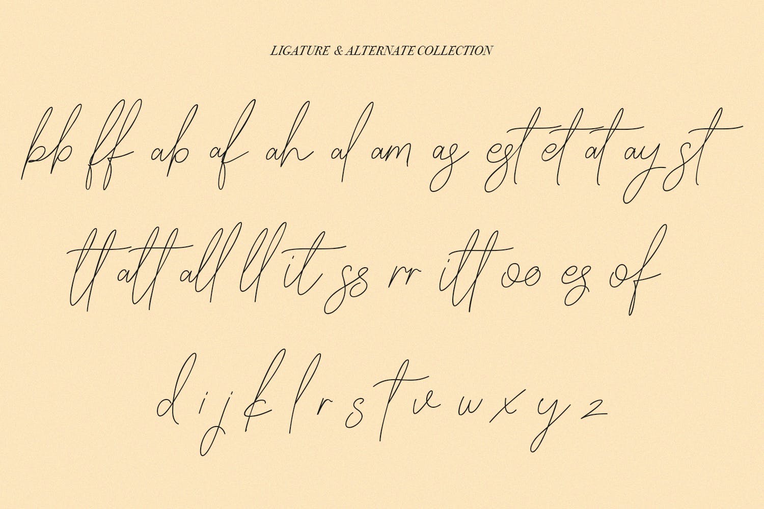 英文手写签名字体合集 Slothwilds Handwritten Typeface 设计素材 第4张