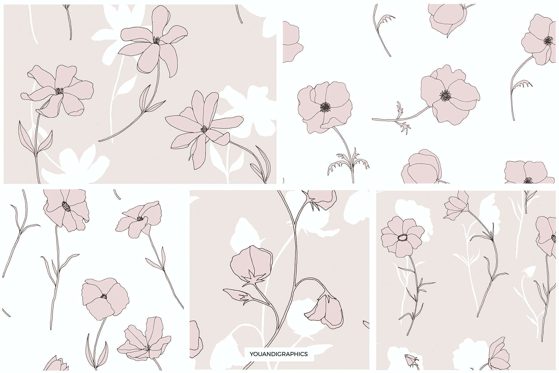 精美的花卉图案和元素 Dainty Floral Patterns & Elements 图片素材 第10张
