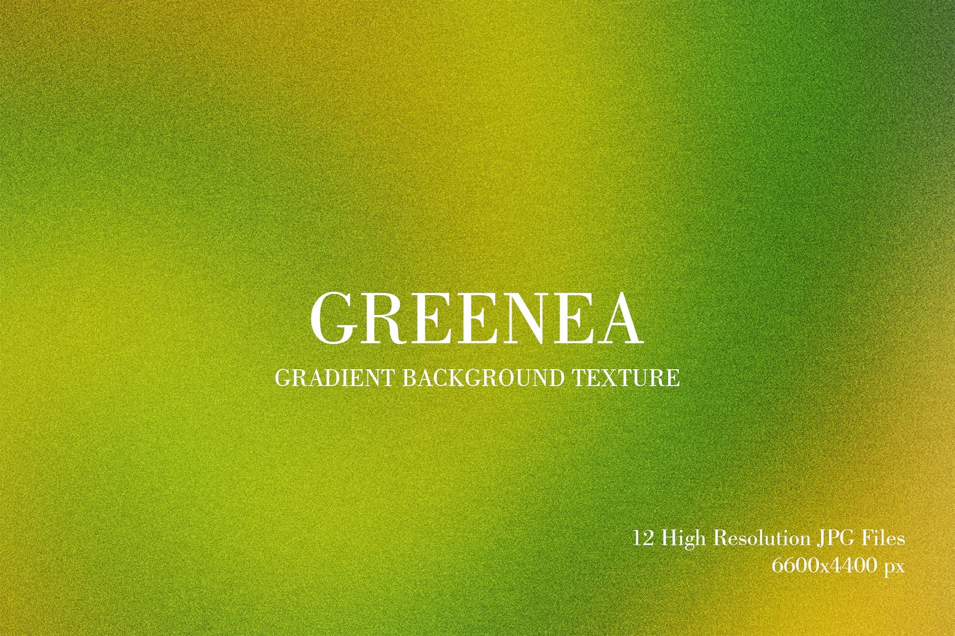 绿色渐变背景纹理 Greenea Gradient Background Texture 图片素材 第1张