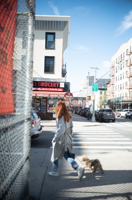 Josselin 纽约室外独特人文扫街摄影后期INS网红LR预设包 NYC Preset Pack 笔刷资源 第7张