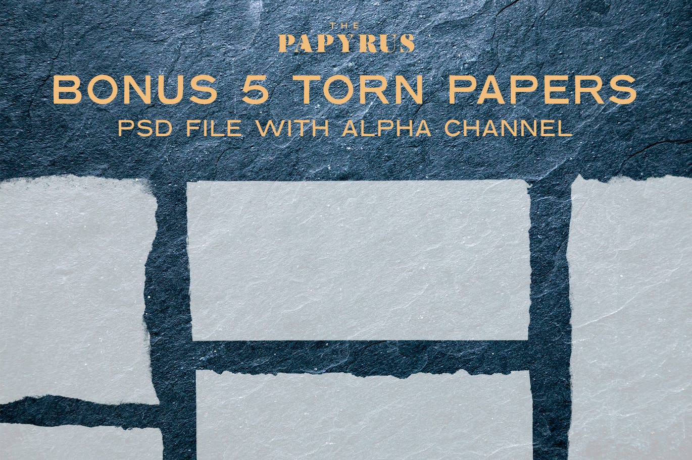 65个莎草纸纸张纹理合集 The Papyrus – 65 Paper Textures 图片素材 第4张