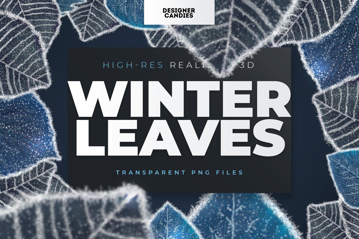 冬季叶子照片叠层素材 Winter Leaves / Leaf Overlays 图片素材 第1张