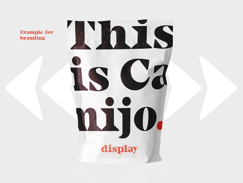Camijo现代显示衬线字体 设计素材 第6张