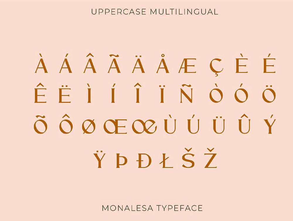 优雅而独特的复古字体 设计素材 第12张