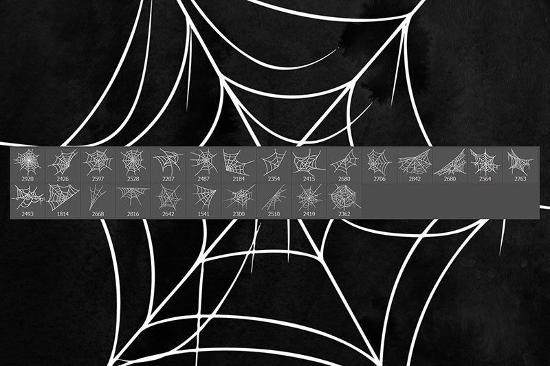 25个高清蜘蛛网图案PS笔刷 笔刷资源 第3张