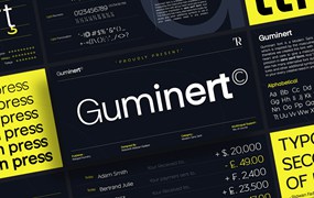 Guminert现代无衬线字体