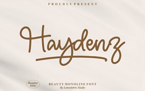 艺术连字创意字体素材 Haydenz Monoline Font