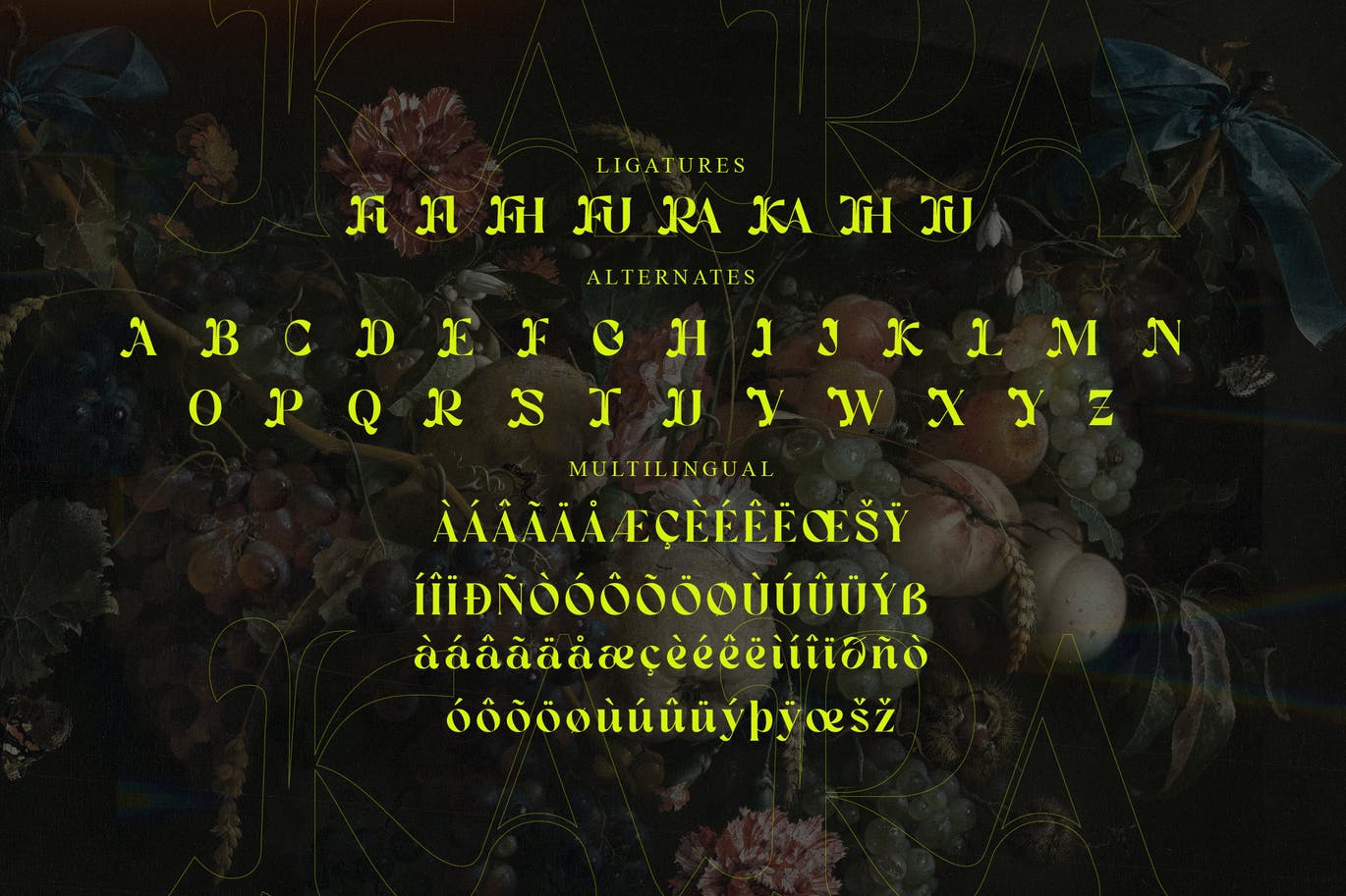 衬线显示英文字体素材 Kara Serif Display Font 设计素材 第5张