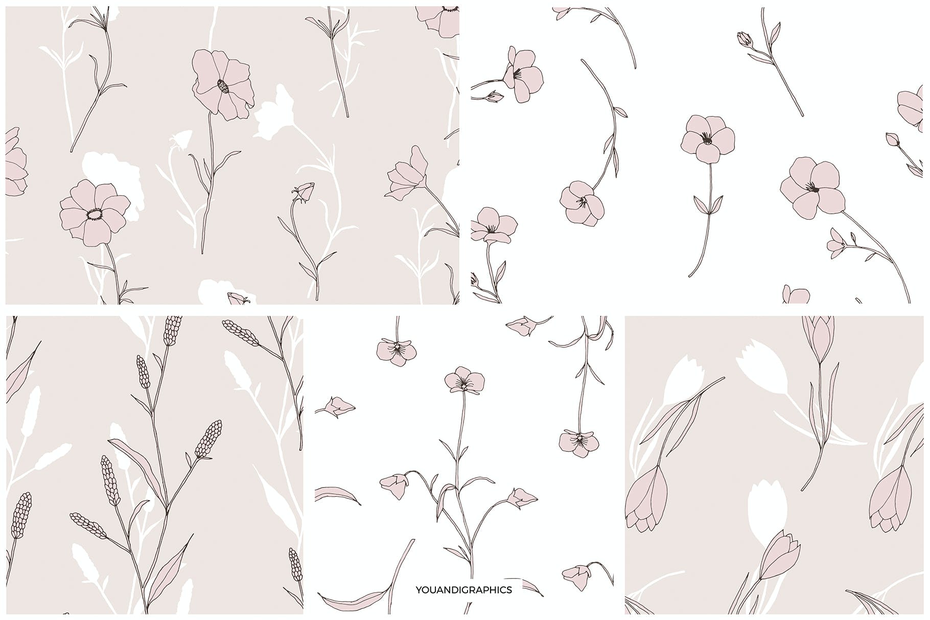 精美的花卉图案和元素 Dainty Floral Patterns & Elements 图片素材 第11张