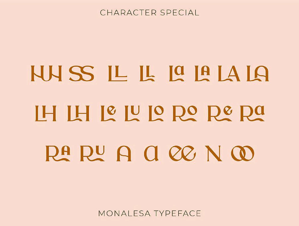 优雅而独特的复古字体 设计素材 第10张