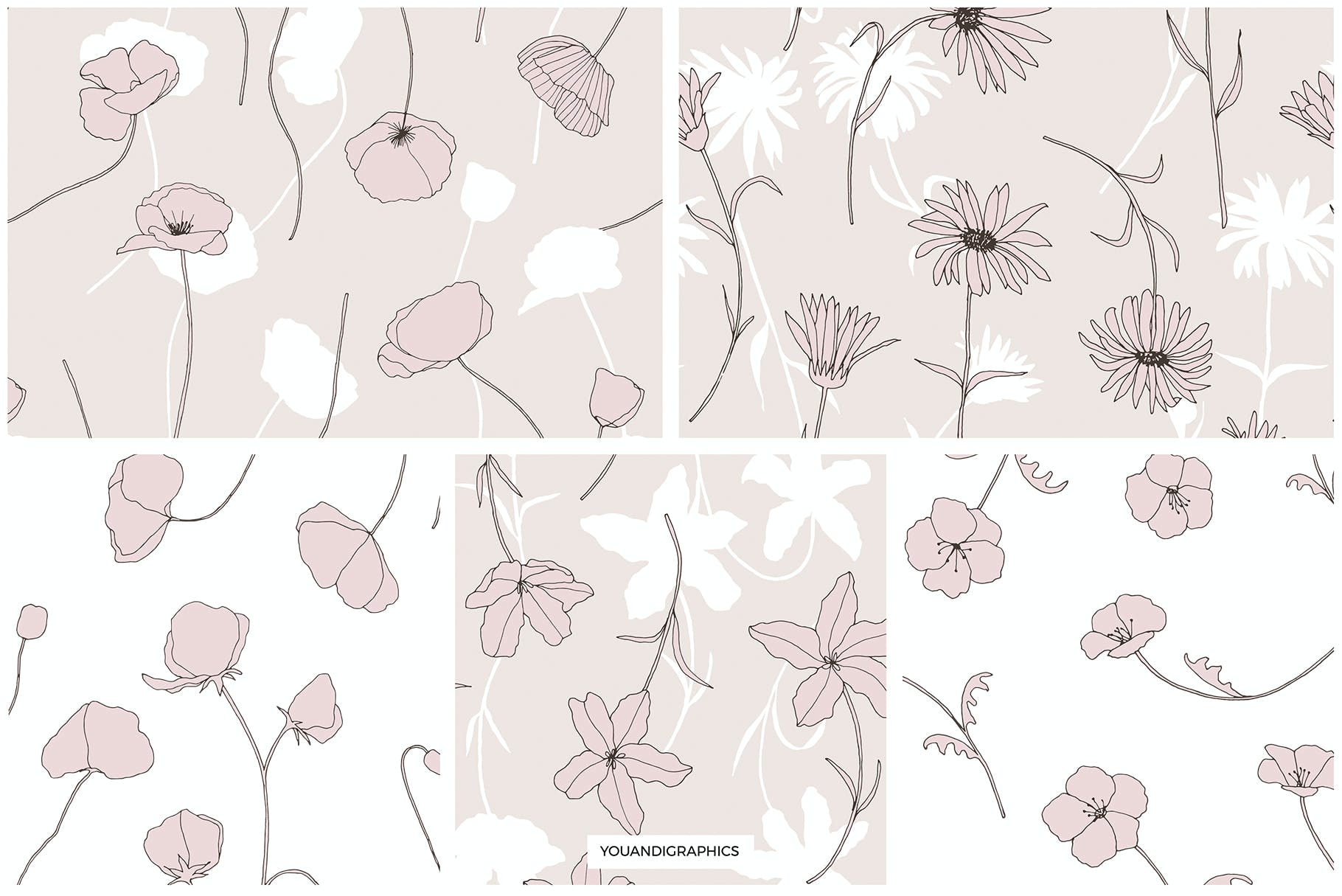 精美的花卉图案和元素 Dainty Floral Patterns & Elements 图片素材 第16张