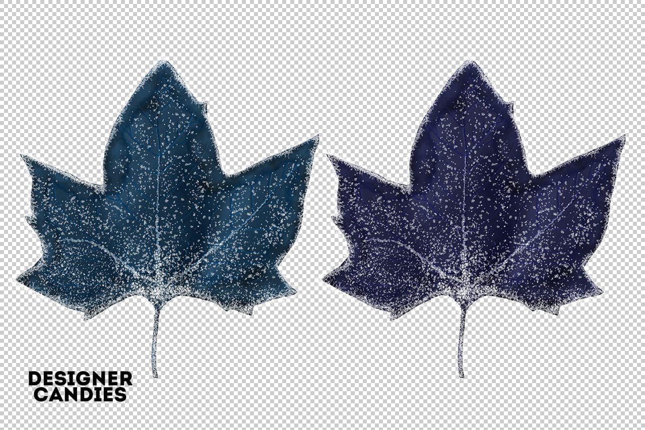冬季叶子照片叠层素材 Winter Leaves / Leaf Overlays 图片素材 第7张