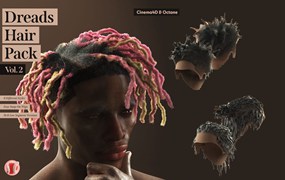 C4D模型：8种嘻哈风格逼真男士头发发辫脏辫发型3D模型材质包