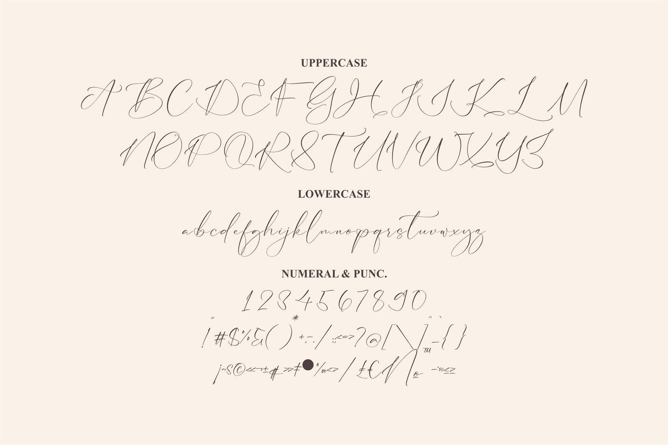 豪华潦草脚本字体 Hatterful Amalia Luxury Script Font 设计素材 第3张