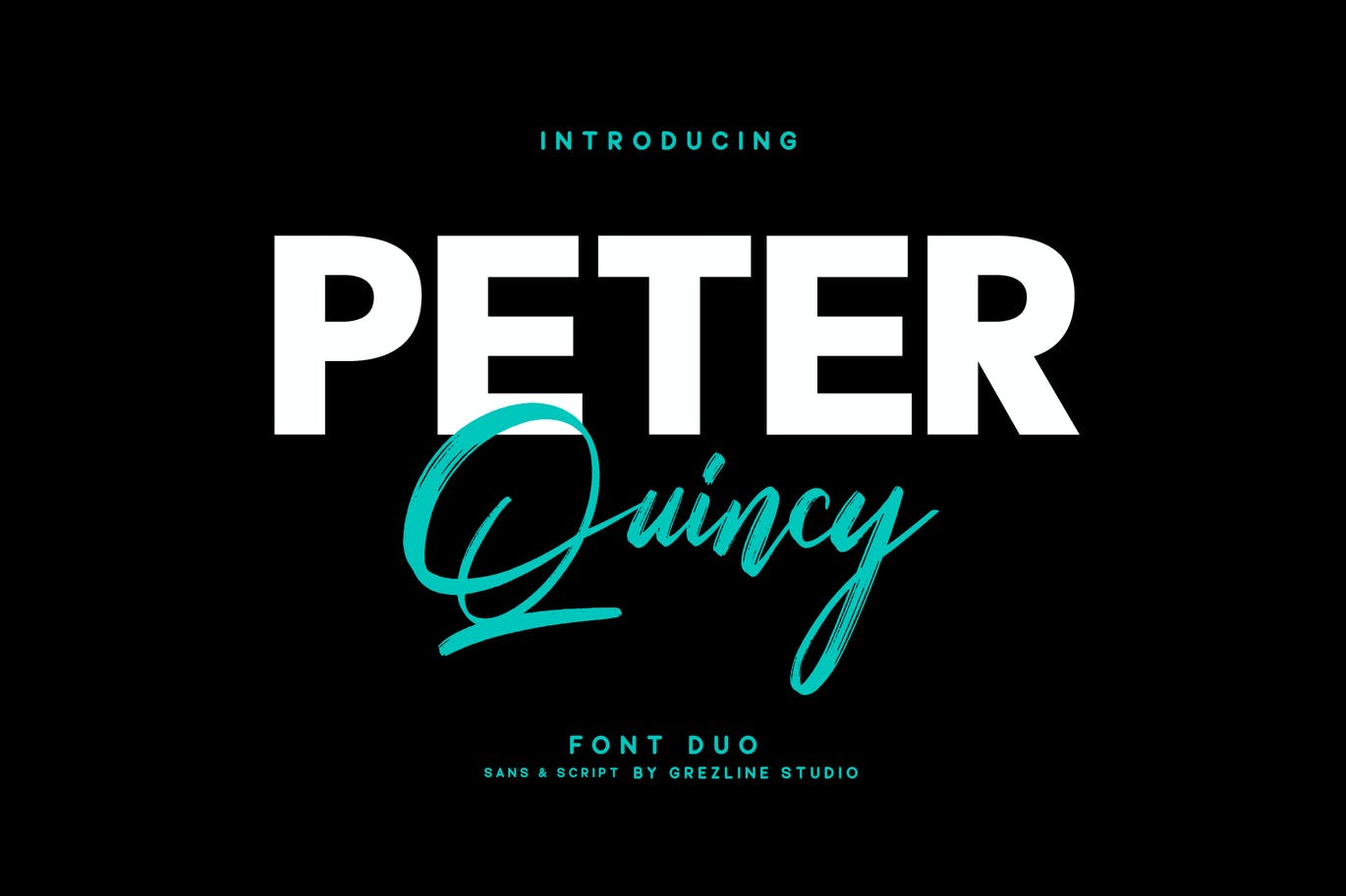 手绘脚本字体二重奏 Peter Quincy – Font Duo 设计素材 第1张