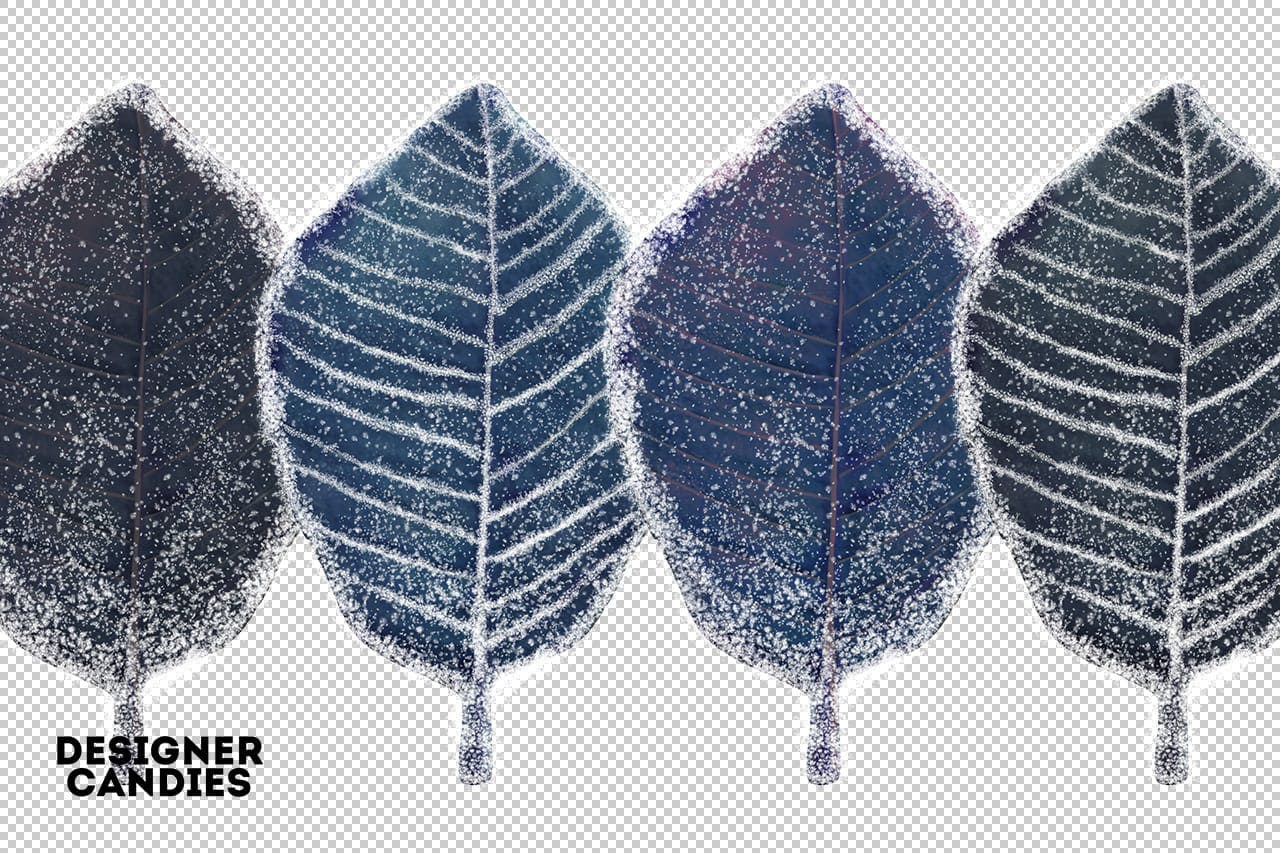 冬季叶子照片叠层素材 Winter Leaves / Leaf Overlays 图片素材 第4张