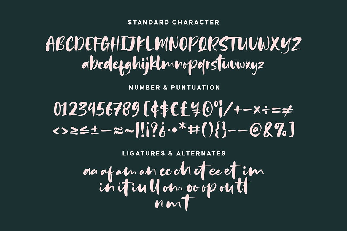 粗细不规则弹性效果手写字体 Bounches Font 设计素材 第14张