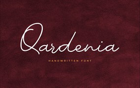 时尚签名风格英文手写字体 Qardenia Signature Font