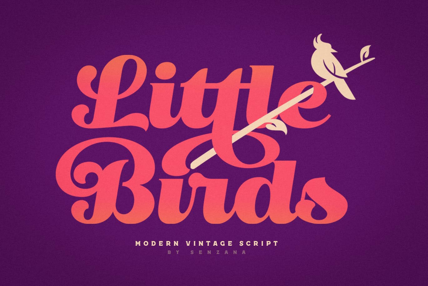 “仿鸟”线条复古风简洁英文字体脚本 Little Birds Script 设计素材 第3张