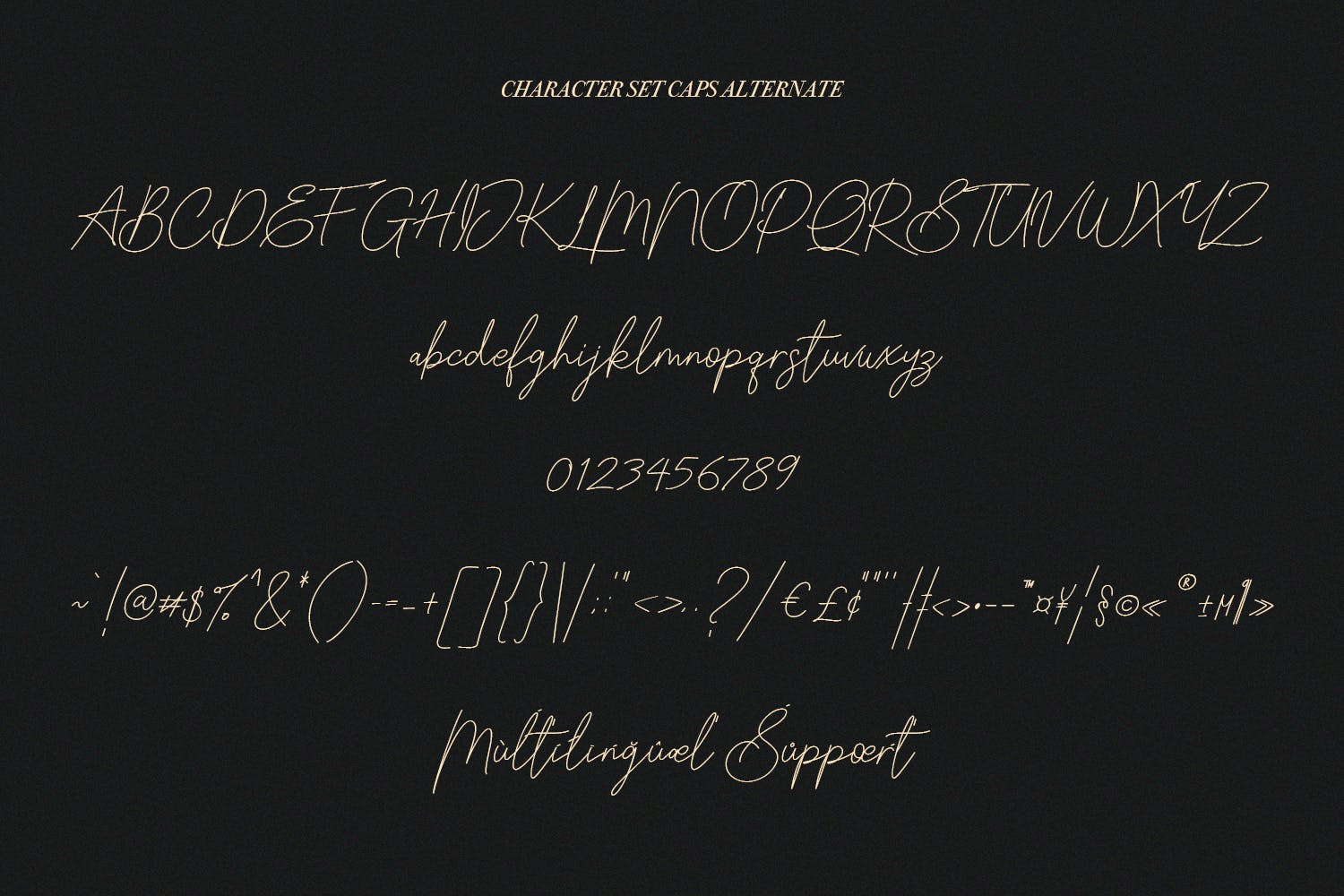英文手写签名字体合集 Slothwilds Handwritten Typeface 设计素材 第12张