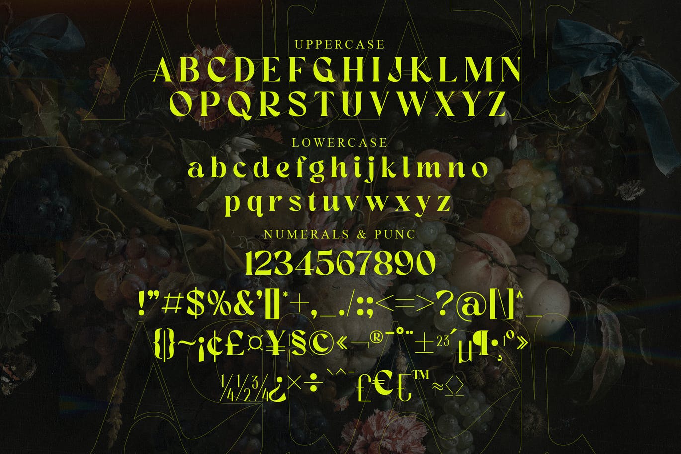 衬线显示英文字体素材 Kara Serif Display Font 设计素材 第8张