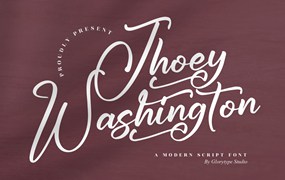 品牌推广手写脚本字体 Jhoey Washington Script Font