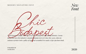 多用途英文手写签名字体 Chick Budapest Signature Font