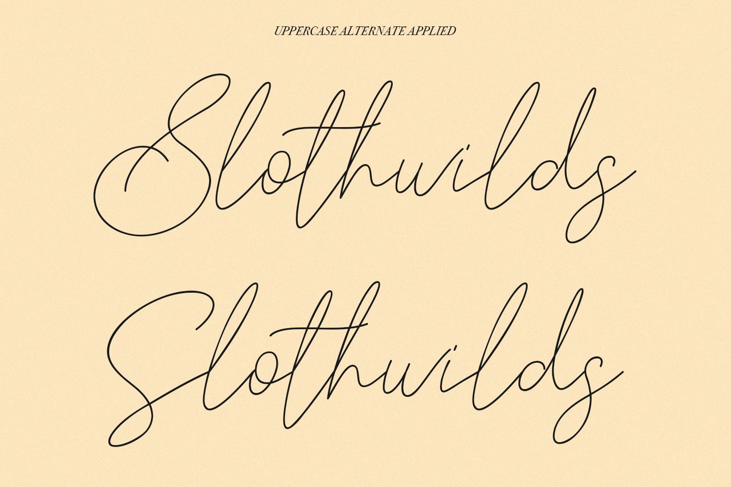 英文手写签名字体合集 Slothwilds Handwritten Typeface 设计素材 第6张